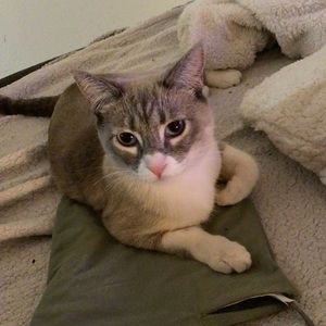 Meet your Posher, Mimi